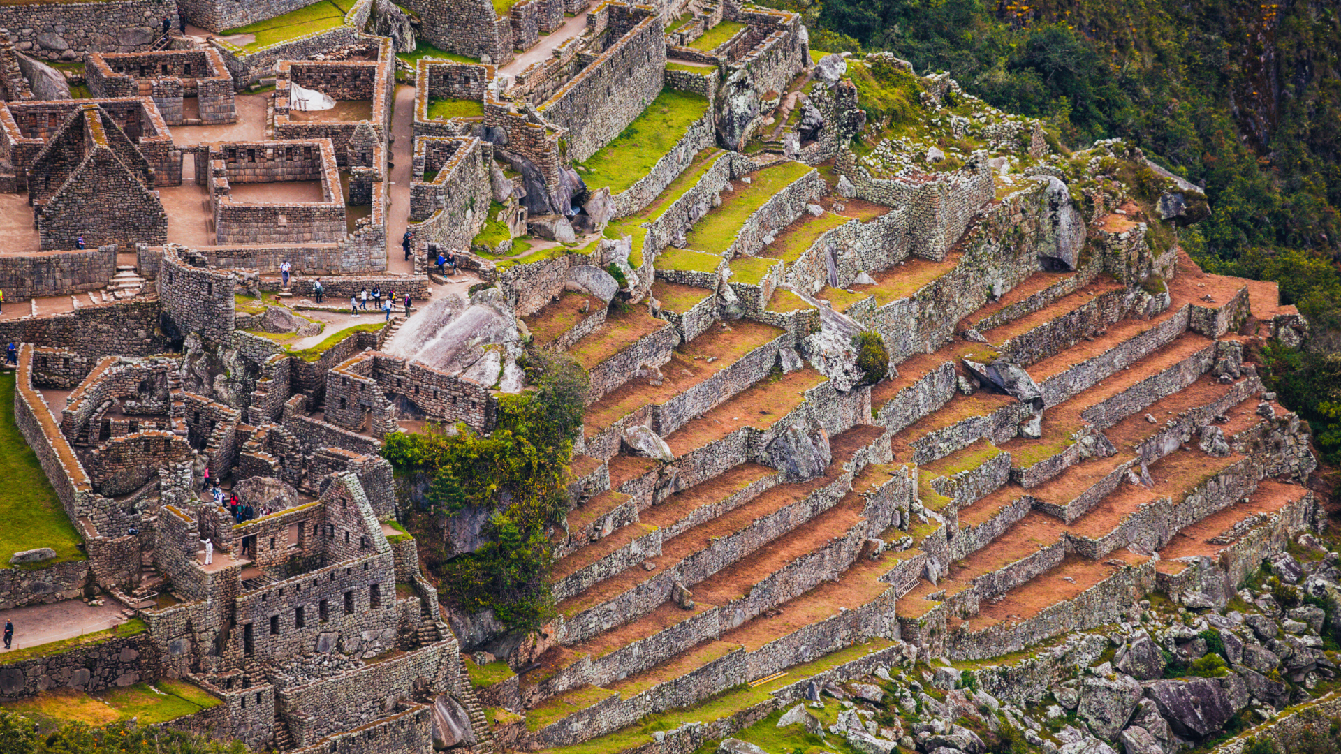 CAPITAL Y TESOROS ANDINOS